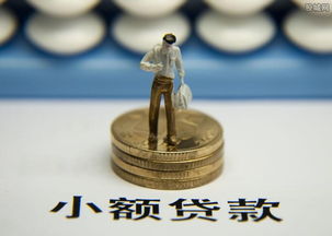 阿里小额利息多少 放款之后多久到账