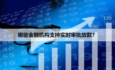 金融机构即刻贷 实时审批放款的信用担保模式解析